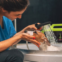 Load image into Gallery viewer, Sun Joe 24V iON+ Cordless Go-Anywhere Portable Sink/Shower Spray Washer | 2.5 Gal | Tool Only
